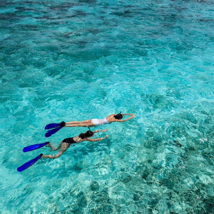 Snorkeling Excursion